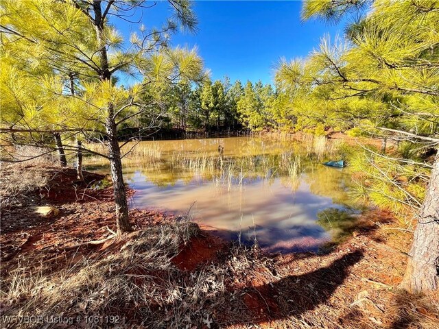 10907 Cedar Creek Rd, Hartford, AR 72938 - photo 19