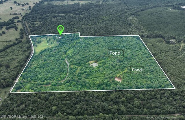 10907 Cedar Creek Rd, Hartford, AR 72938 - photo 3