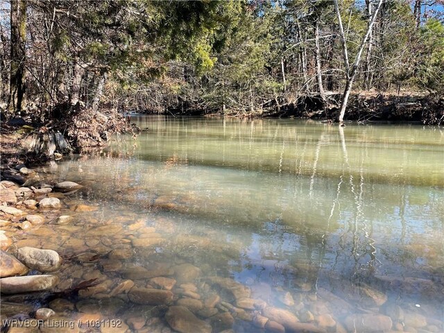 10907 Cedar Creek Rd, Hartford, AR 72938 - photo 16