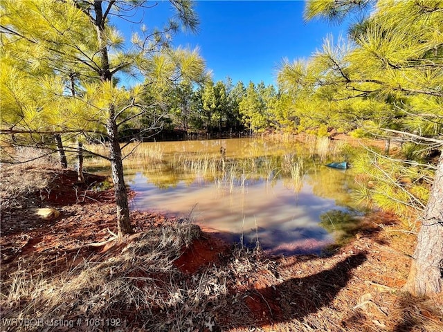 10907 Cedar Creek Rd, Hartford, AR 72938 - photo 26