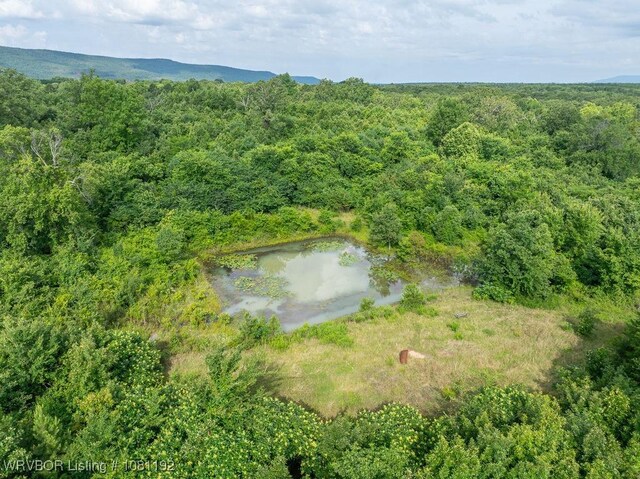 10907 Cedar Creek Rd, Hartford, AR 72938 - photo 47