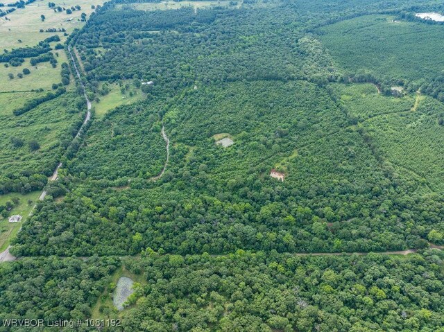 10907 Cedar Creek Rd, Hartford, AR 72938 - photo 46