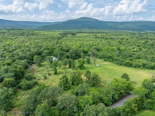 10907 Cedar Creek Rd, Hartford, AR 72938 - photo 42