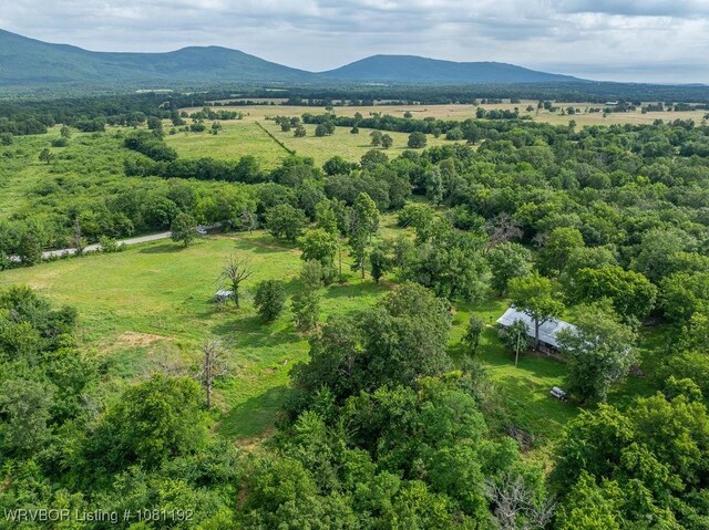 10907 Cedar Creek Rd, Hartford, AR 72938 - photo 41