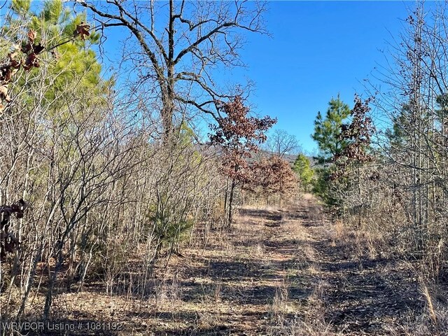 10907 Cedar Creek Rd, Hartford, AR 72938 - photo 20