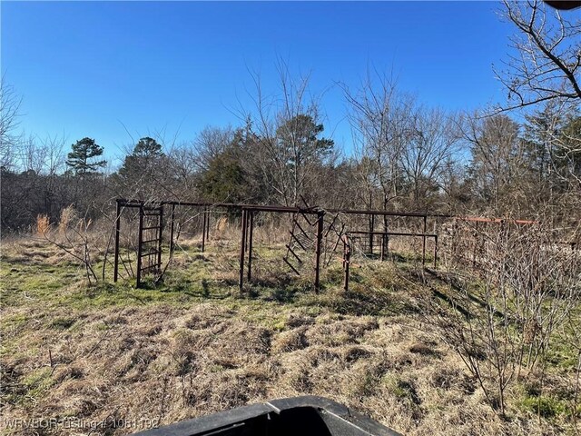 10907 Cedar Creek Rd, Hartford, AR 72938 - photo 15