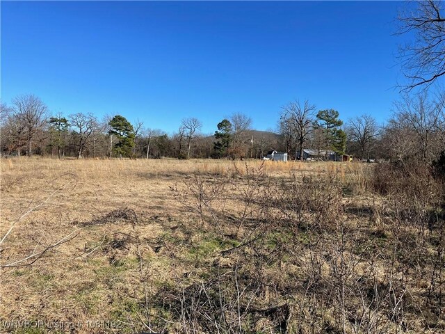 10907 Cedar Creek Rd, Hartford, AR 72938 - photo 23