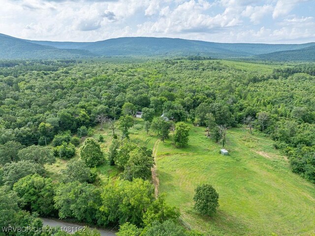 10907 Cedar Creek Rd, Hartford, AR 72938 - photo 40