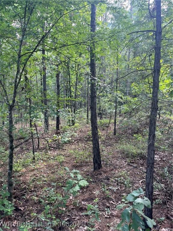 TRACT4 SE 1083 Rd Ave, Red Oak, OK 74563 - photo 14
