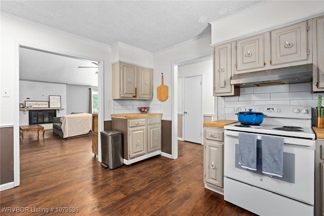 kitchen featuring electric range, ornamental molding, under cabinet range hood, dark wood finished floors, and butcher block counters