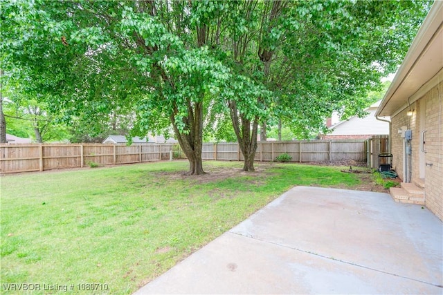 view of yard with a patio and a fenced backyard