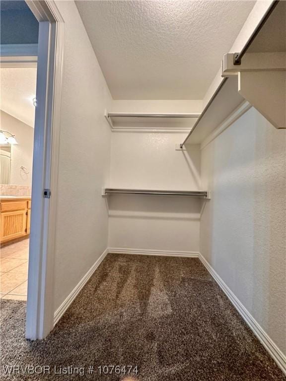 walk in closet featuring carpet