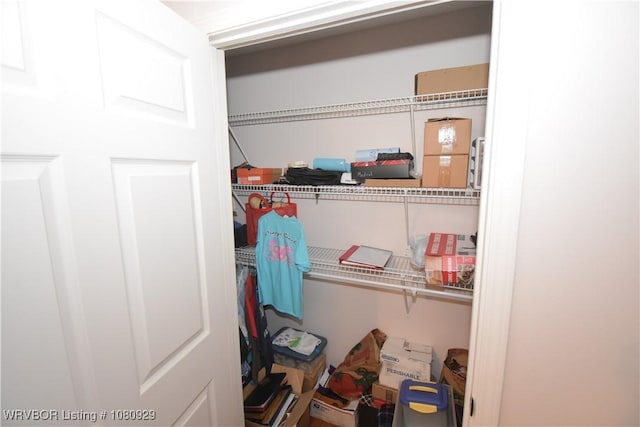 view of closet
