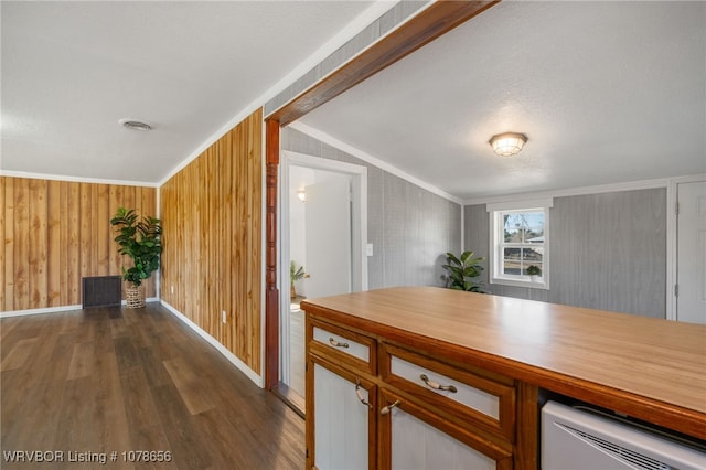 kitchen with dark hardwood / wood-style flooring and ornamental molding