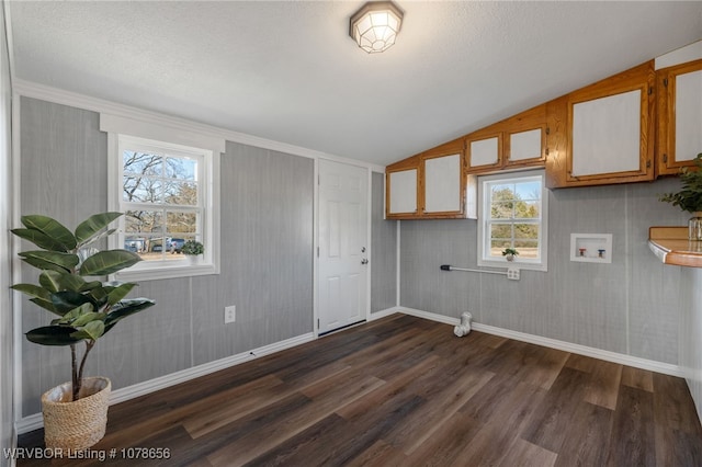 interior space with hookup for a washing machine, dark wood-type flooring, and a textured ceiling