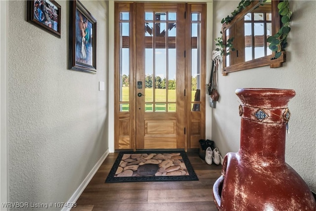 doorway to outside with dark hardwood / wood-style flooring