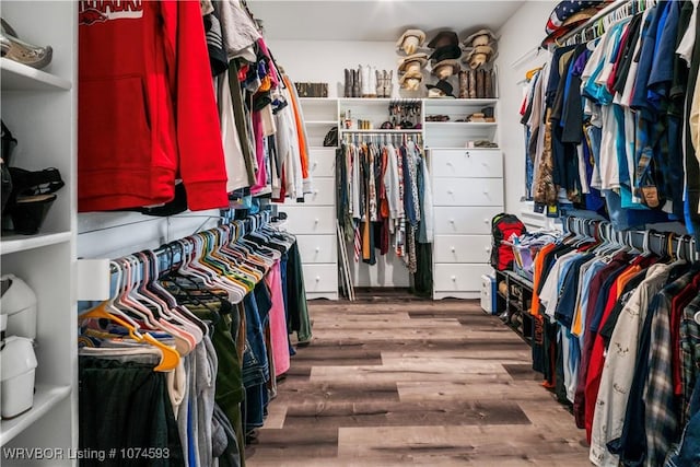 spacious closet with hardwood / wood-style floors