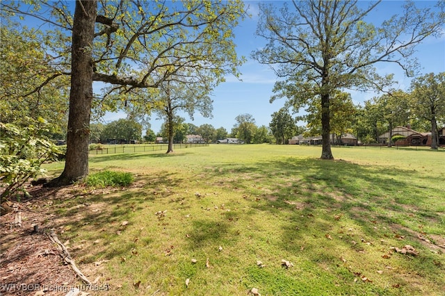 view of yard