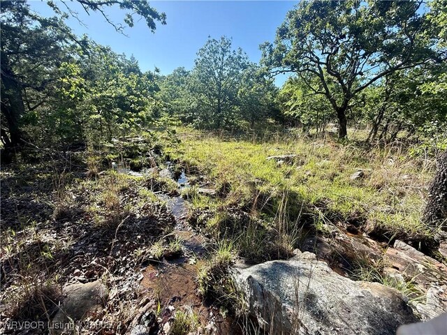 TBD Steinkamp Ln, Greenwood, AR 72936 - photo 35