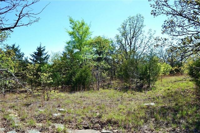 TBD Steinkamp Ln, Greenwood, AR 72936 - photo 8