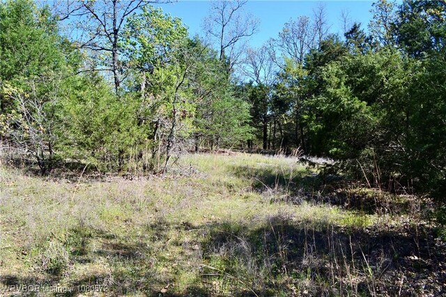 TBD Steinkamp Ln, Greenwood, AR 72936 - photo 21