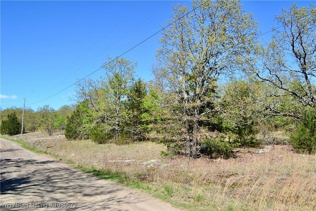 TBD Steinkamp Ln, Greenwood, AR 72936 - photo 15
