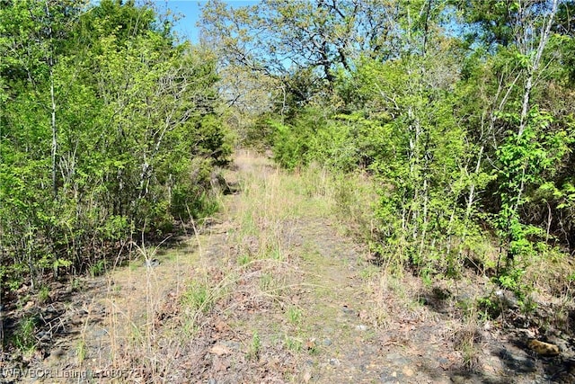 TBD Steinkamp Ln, Greenwood, AR 72936 - photo 3
