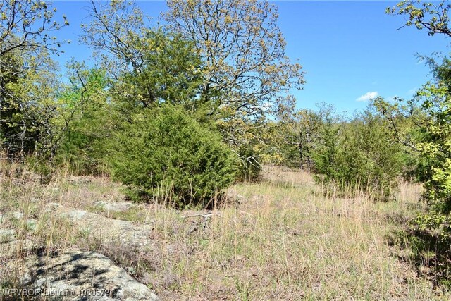TBD Steinkamp Ln, Greenwood, AR 72936 - photo 20