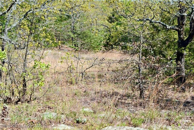 TBD Steinkamp Ln, Greenwood, AR 72936 - photo 25