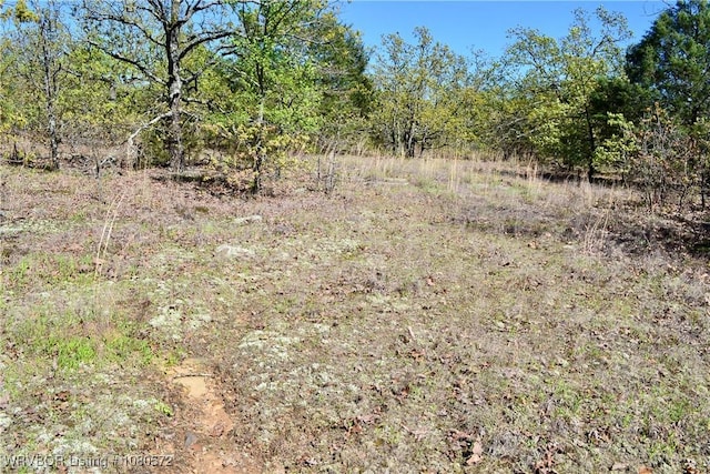 TBD Steinkamp Ln, Greenwood, AR 72936 - photo 6