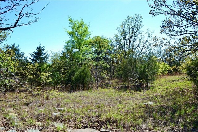 TBD Steinkamp Ln, Greenwood, AR 72936 - photo 23