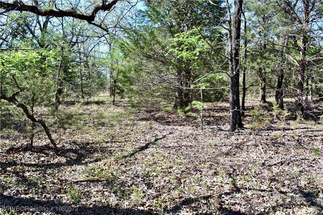 TBD Steinkamp Ln, Greenwood, AR 72936 - photo 5