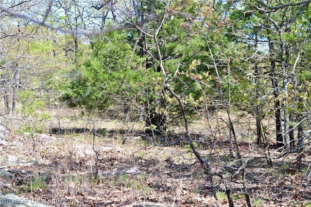 TBD Steinkamp Ln, Greenwood, AR 72936 - photo 14