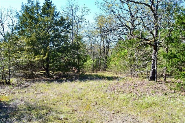 TBD Steinkamp Ln, Greenwood, AR 72936 - photo 4