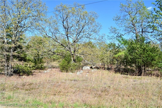 TBD Steinkamp Ln, Greenwood, AR 72936 - photo 2