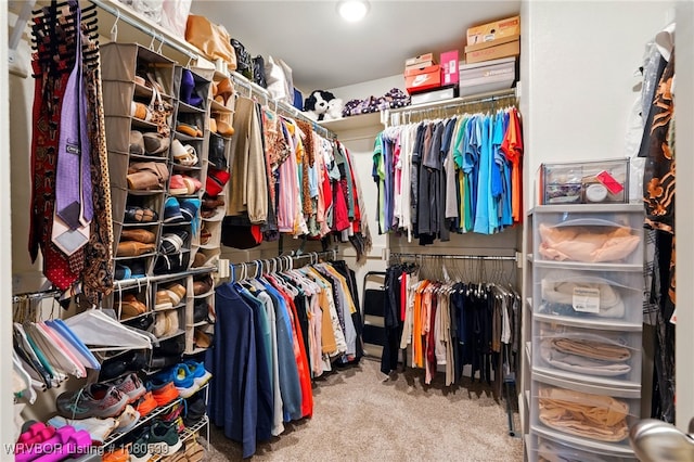 1026 Snow Goose Way, Barling, AR 72923 - spacious closet with carpet floors