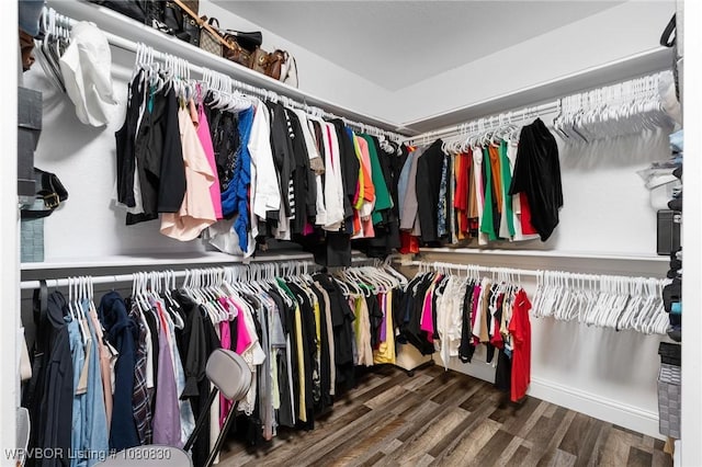 spacious closet with wood finished floors