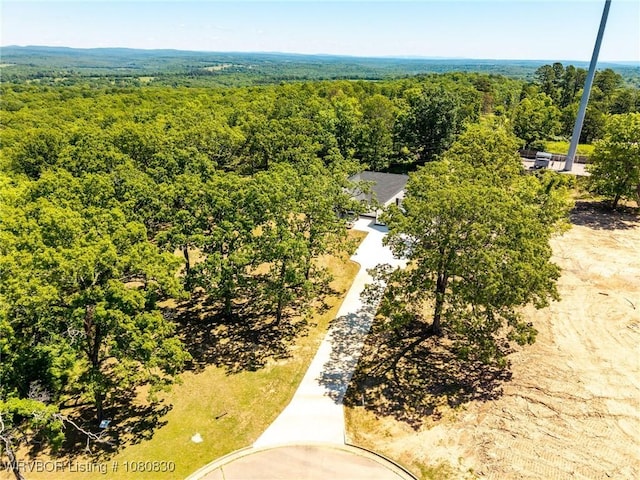 bird's eye view with a forest view