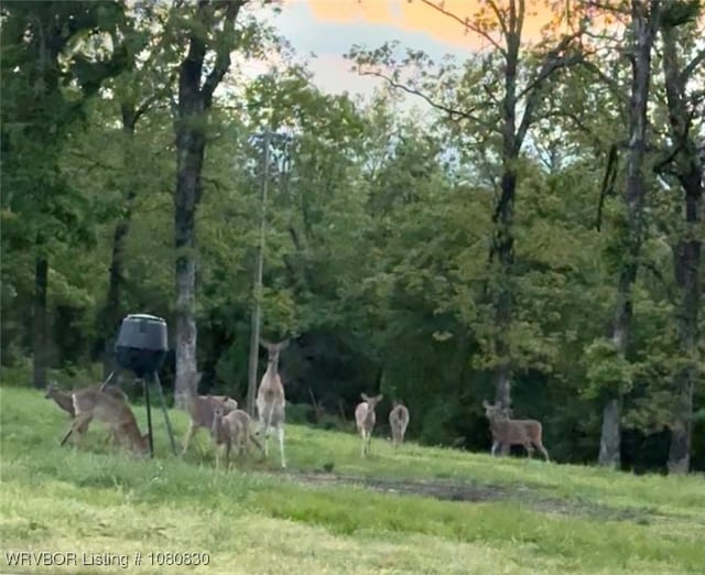 6020 Tower Cir, Van Buren, AR 72956 - view of yard