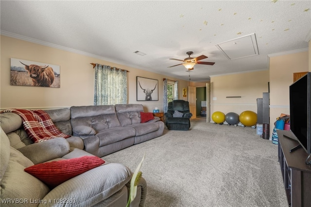 5205 Hardscrabble Way, Fort Smith, AR 72903 - photo 28