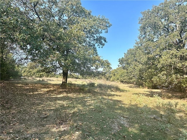 Listing photo 3 for TRACT1 Timber Ridge Rd, Howe OK 74940