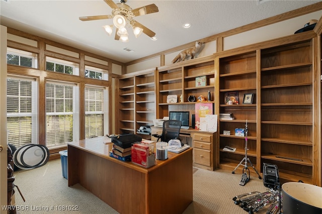 25 Shibley Rd, Van Buren, AR 72956 - home office with light colored carpet, a ceiling fan, healthy amount of natural light, and recessed lighting