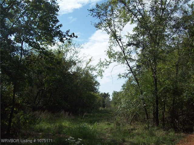 TBD Big Pine Dr, Van Buren, AR 72956 - photo 4