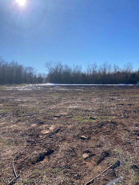 TBD Big Pine Dr, Van Buren, AR 72956 - photo 13