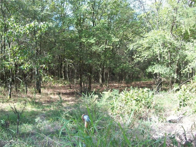 TBD Big Pine Dr, Van Buren, AR 72956 - photo 5