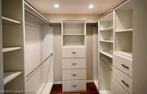 view of walk in closet
