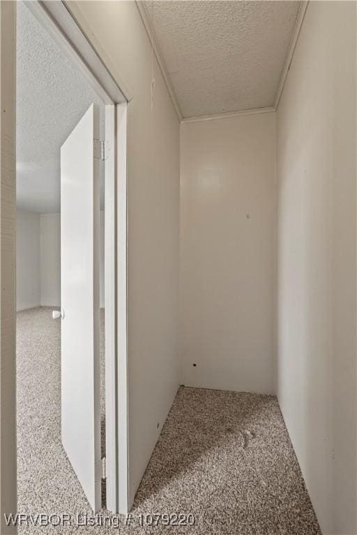 corridor with a textured ceiling and carpet