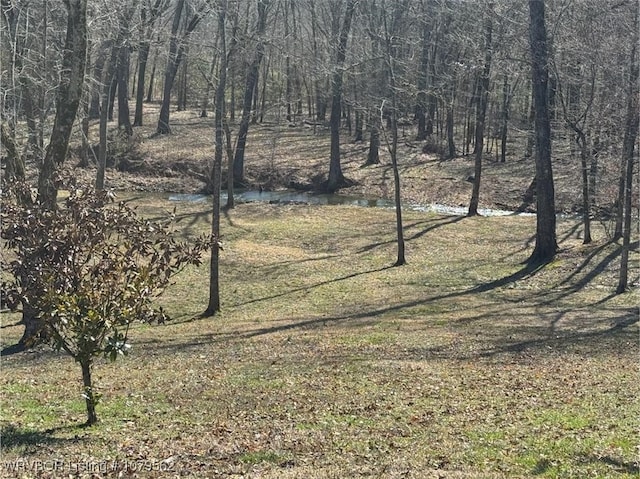 view of yard featuring a forest view