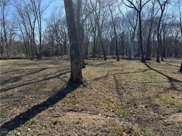 view of yard featuring a view of trees