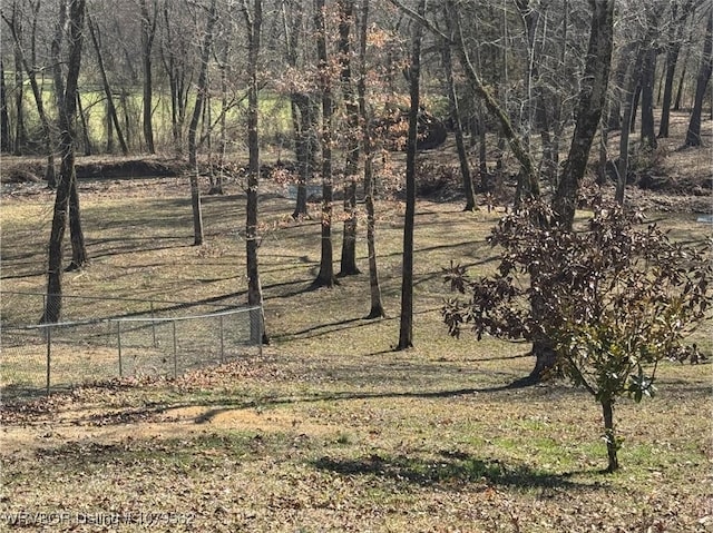 view of local wilderness featuring a view of trees